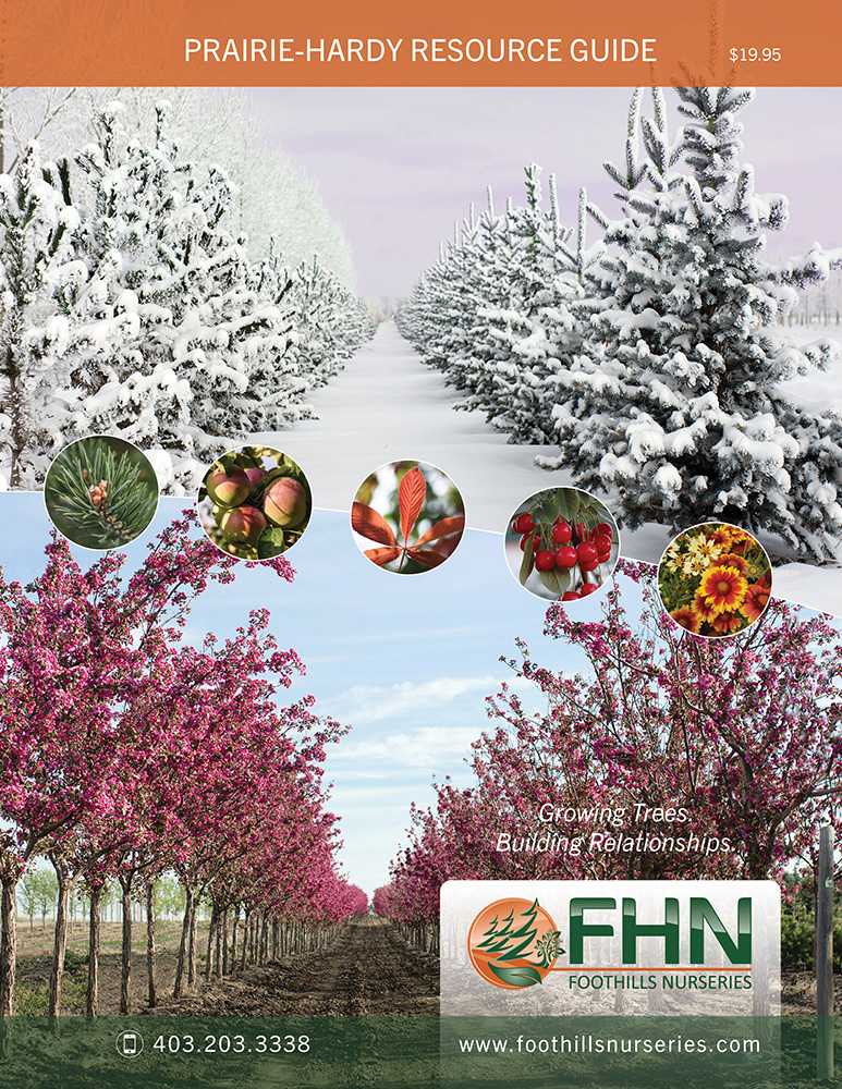FHN Catalogue - 2023 Cover