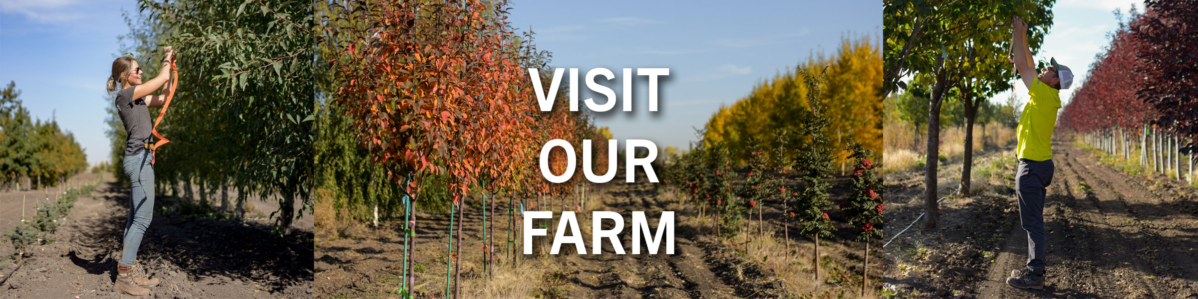 Visit our farm